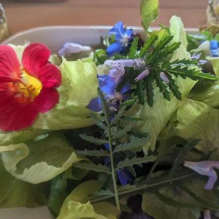 D'hotes Privative Au Creux Du Nid 3* Siaugues-Sainte-Marie